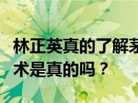 林正英真的了解茅山艺术吗？传说中的茅山艺术是真的吗？