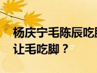 杨庆宁毛陈辰吃脚 什么梗网曝光杨庆宁曾经让毛吃脚？