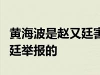 黄海波是赵又廷害的吗曝黄海波嫖娼事件赵又廷举报的