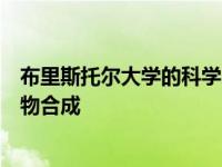 布里斯托尔大学的科学家揭示了世界各地使用的抗生素的生物合成