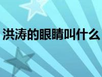 洪涛的眼睛叫什么？为什么洪涛的眼窝凹陷？