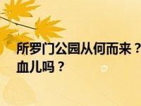 所罗门公园从何而来？帕克·所罗门是如何出道的？他是混血儿吗？