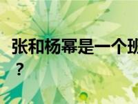 张和杨幂是一个班的吗？张和杨幂是什么关系？