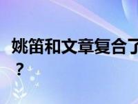 姚笛和文章复合了吗？姚笛和文章有什么关系？