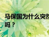 马保国为什么突然生气了？马保国真的会武功吗？