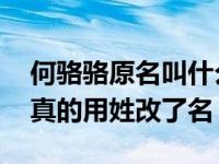 何骆骆原名叫什么？何炯说他的姓是徐苑 他真的用姓改了名