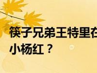 筷子兄弟王特里在哪里？为什么王特里里没有小杨红？