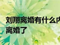 刘翔离婚有什么内幕？两个人结婚不到一年就离婚了