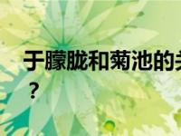 于朦胧和菊池的关系 于朦胧和菊真的相爱吗？