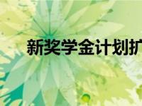 新奖学金计划扩大了研究生的职业选择