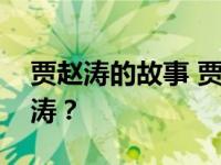 贾赵涛的故事 贾的作品为什么女主角总是赵涛？