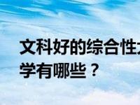 文科好的综合性大学 适合艺术生的综合性大学有哪些？