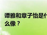 谭雅和章子怡是什么关系？为什么他们长得这么像？