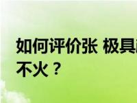 如何评价张 极具颜值和实力的演员张 为什么不火？