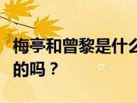 梅亭和曾黎是什么关系？他们是大学室友是真的吗？