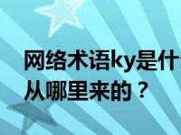 网络术语ky是什么意思？网络术语ky最初是从哪里来的？