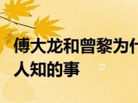 傅大龙和曾黎为什么分手？傅大龙和曾黎鲜为人知的事