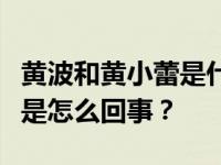 黄波和黄小蕾是什么关系？黄波被黄小蕾掏空是怎么回事？