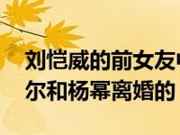 刘恺威的前女友中 有几个是刘恺威因为安吉尔和杨幂离婚的？