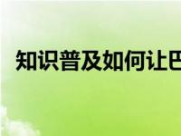 知识普及如何让巴巴农场的果树长得更快？