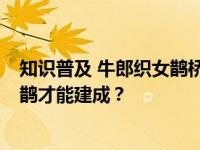 知识普及 牛郎织女鹊桥相会 如果有一座鹊桥 需要多少只喜鹊才能建成？