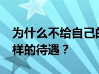 为什么不给自己的车和尼克的iphone贴纸一样的待遇？