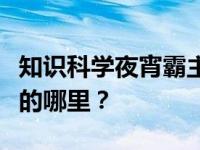 知识科学夜宵霸主小龙虾它们的心脏长在身体的哪里？