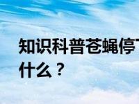 知识科普苍蝇停下来总会搓搓手脚 他们在做什么？