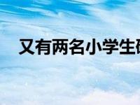 又有两名小学生研究过饮茶抗癌获奖人才