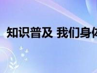 知识普及 我们身体的哪个部位不容易晒黑？