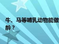 牛、马等哺乳动物能做什么？通过知识普及来判断他们的年龄？