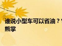 谁说小型车可以省油？它在江铃福特轻客中既需要鱼 也需要熊掌