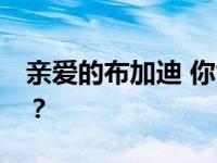 亲爱的布加迪 你能把凯龙星SUV做成这样吗？