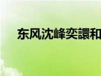 东风沈峰奕譞和欧尚Cosay GT怎么样？