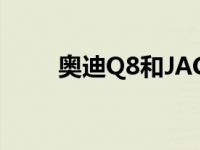 奥迪Q8和JAC佳悦A5油耗怎么样？