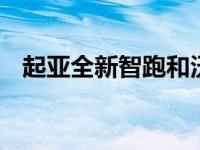 起亚全新智跑和沃尔沃XC60油耗怎么样？