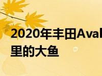 2020年丰田Avalon混合动力车回顾萎缩池塘里的大鱼