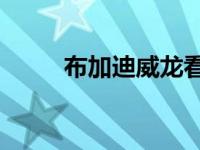 布加迪威龙看起来价值160万美元