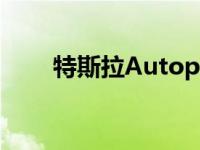 特斯拉Autopilot遭欧洲NCAP攻击