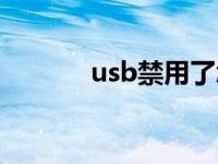 usb禁用了怎么办（usb禁用）