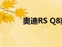 奥迪RS Q8获得冬季驾驶新轮胎