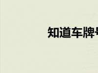 知道车牌号怎么查车主信息