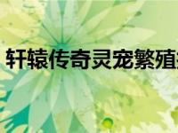 轩辕传奇灵宠繁殖技巧（轩辕传奇灵宠繁殖）