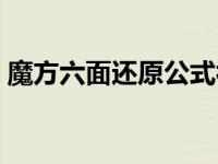 魔方六面还原公式视频（魔方六面还原公式）