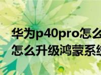 华为p40pro怎么升级鸿蒙2.0（华为p40pro怎么升级鸿蒙系统）