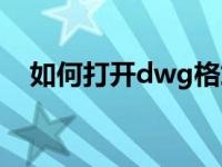 如何打开dwg格式（如何打开dwg文件）