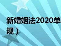 新婚姻法2020单身生子（新婚姻法2020年新规）