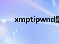 xmptipwnd是什么（xmptipwnd）