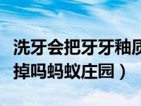 洗牙会把牙牙釉质洗掉吗（洗牙会把牙釉质洗掉吗蚂蚁庄园）