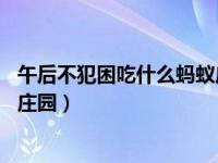 午后不犯困吃什么蚂蚁庄园6月7日（午后不犯困吃什么蚂蚁庄园）